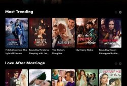 国产最新在线,在线领域创新力作盘点